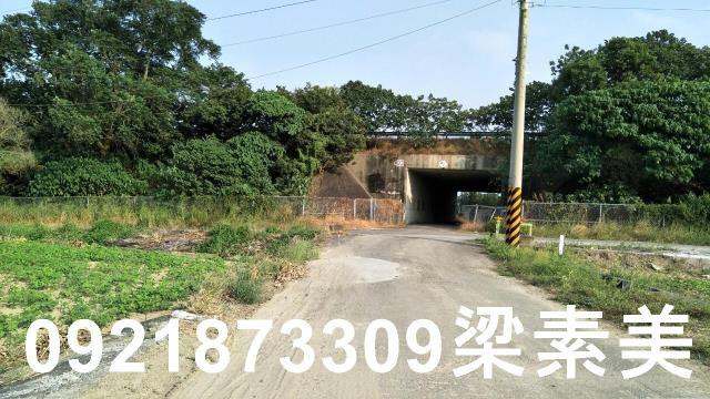 善化農地-5