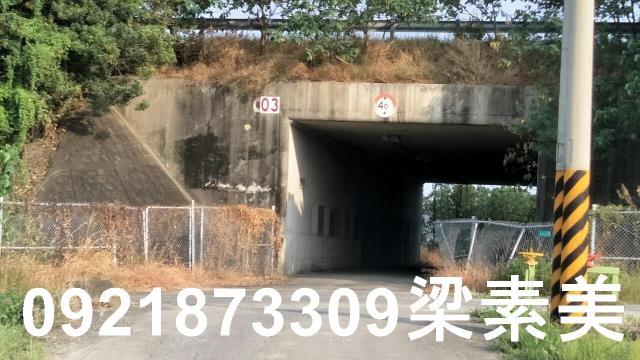善化農地-6