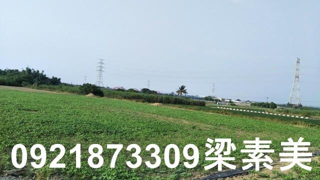 善化農地-7