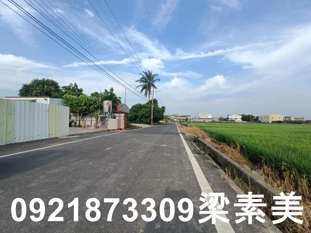 善化農地-9