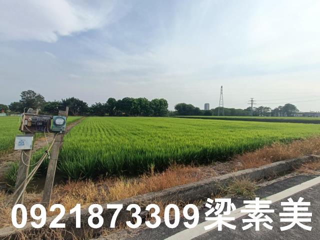 善化農地-5