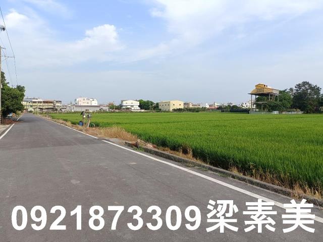 善化農地-6