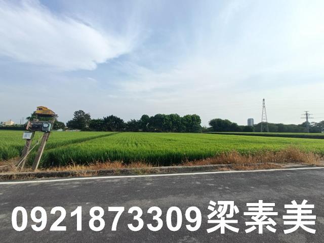 善化農地-7
