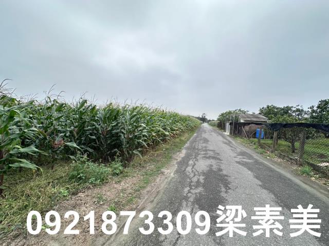 麻豆農地-3