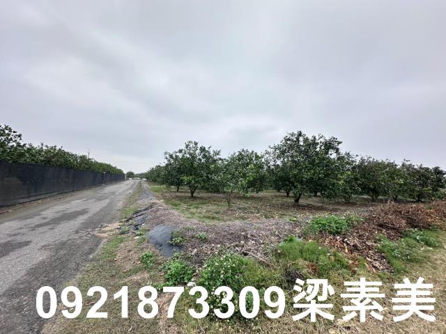 麻豆農地-4