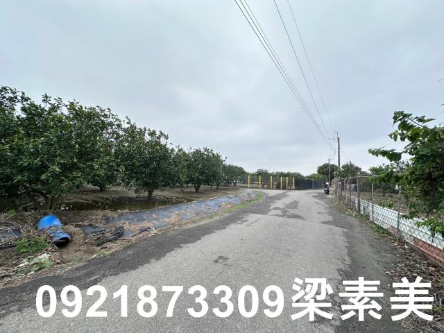 麻豆農地-5