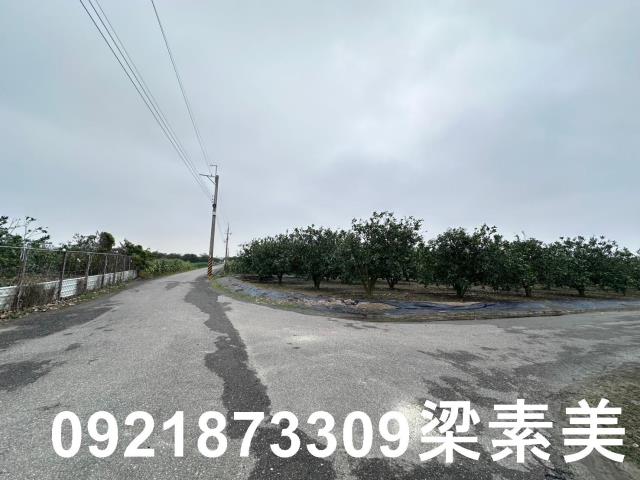 麻豆農地-7