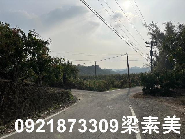 玉井農地-9