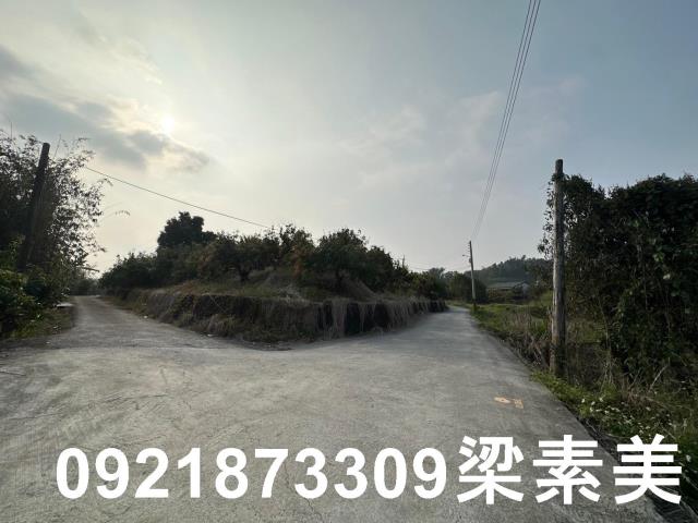 玉井農地-10