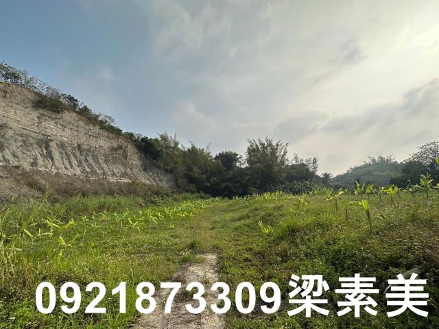 玉井農地-11