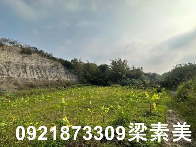 玉井農地-0
