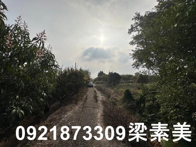 玉井農地-1