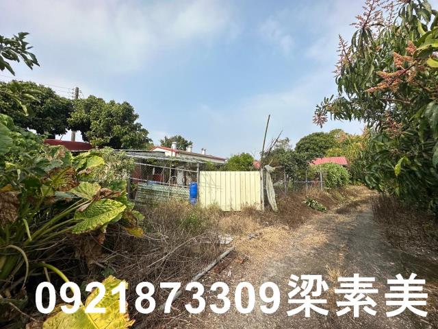 玉井農地-2