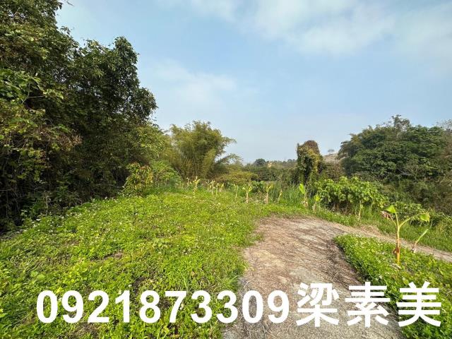 玉井農地-3