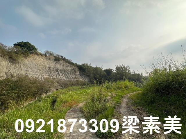 玉井農地-4