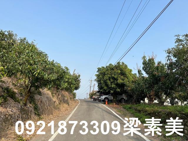 玉井農地-8