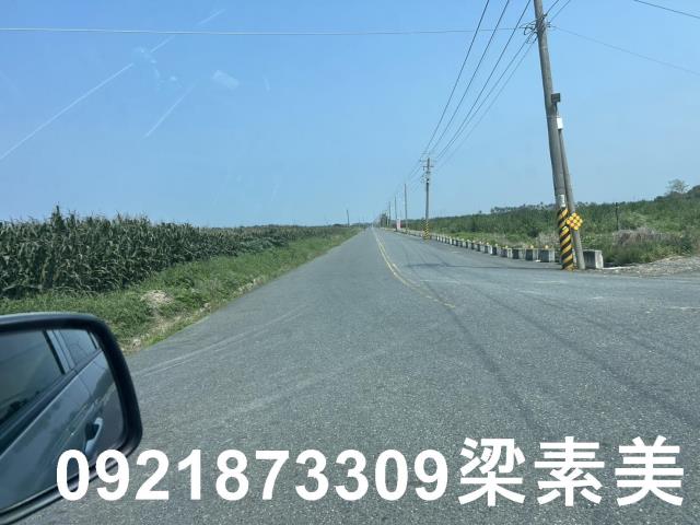 善化農地-9