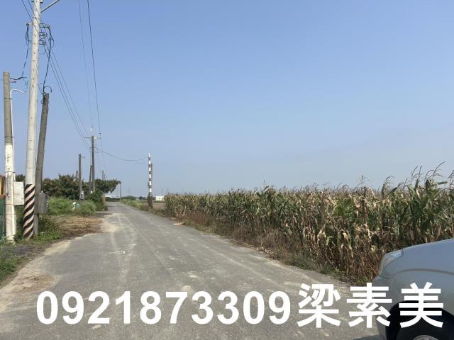 善化農地-1