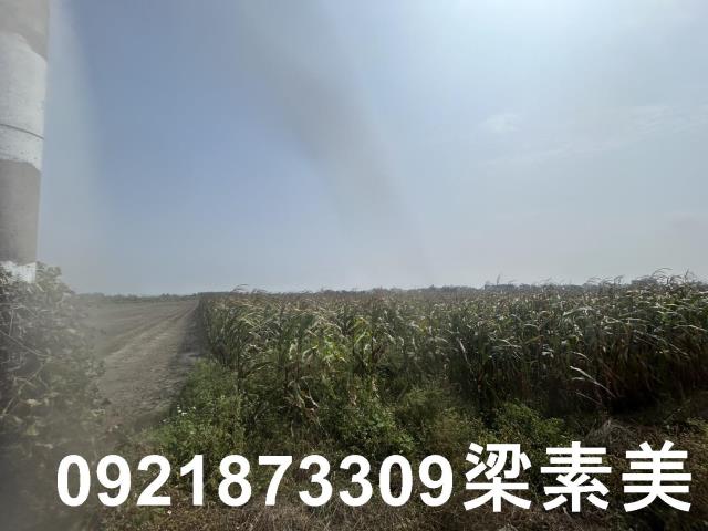 善化農地-3