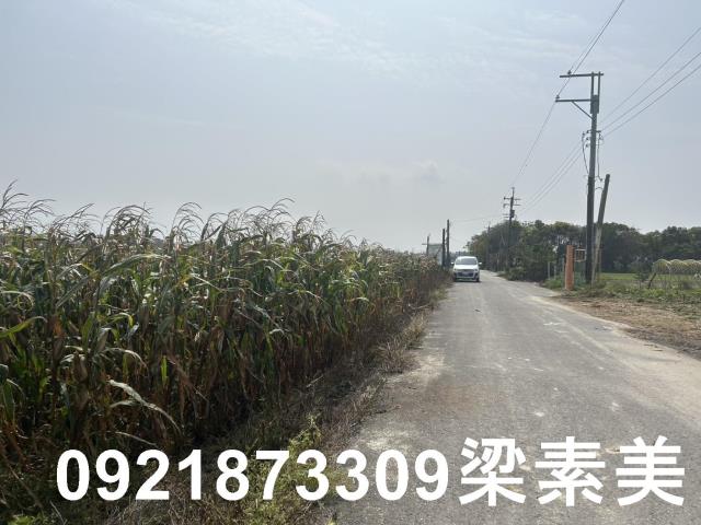 善化農地-5