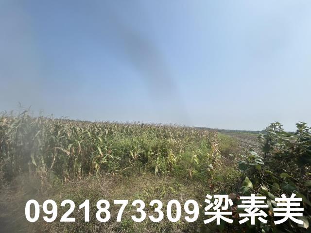 善化農地-6
