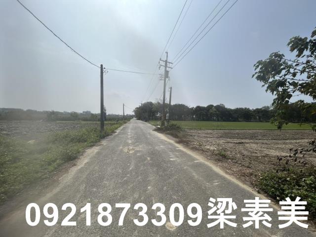 善化農地-8