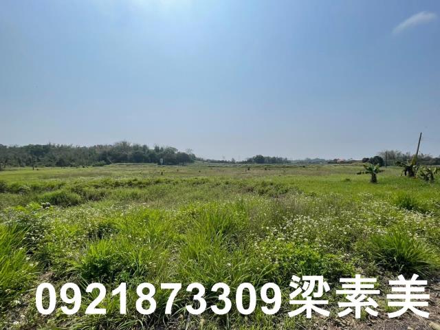 官田農地-3