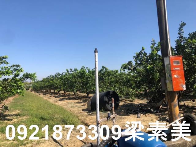 下營農地-3