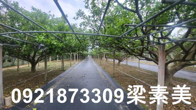 台南農地-1