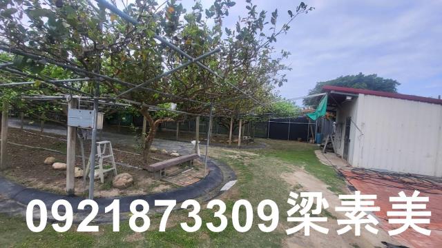 台南農地-2