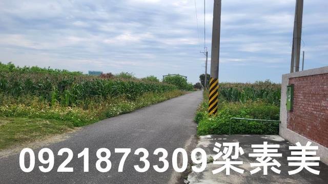 台南農地-5