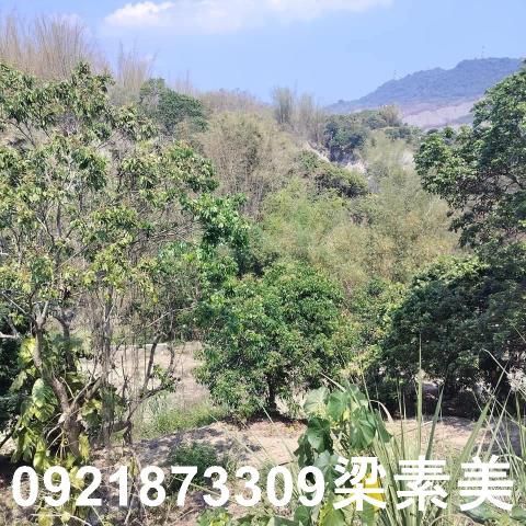 田寮農地-2