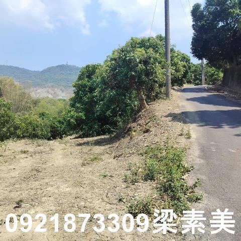 田寮農地-3
