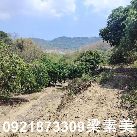 田寮農地-6