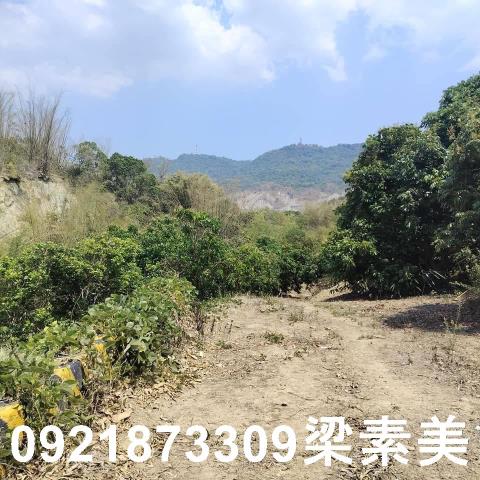 田寮農地-7
