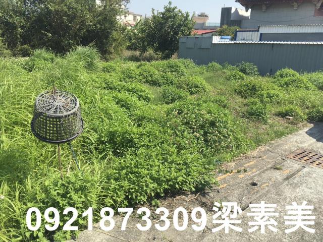 柳營建地-5