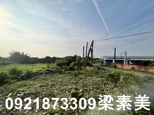 柳營農地-9