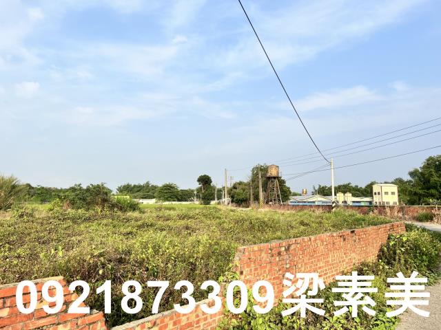 柳營農地-10