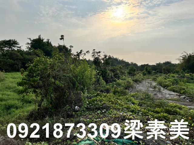 柳營農地-11