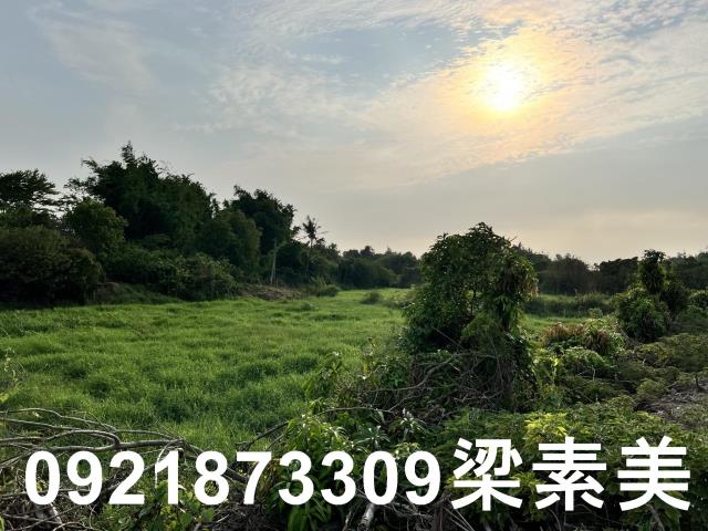 柳營農地-12