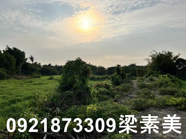 柳營農地-13