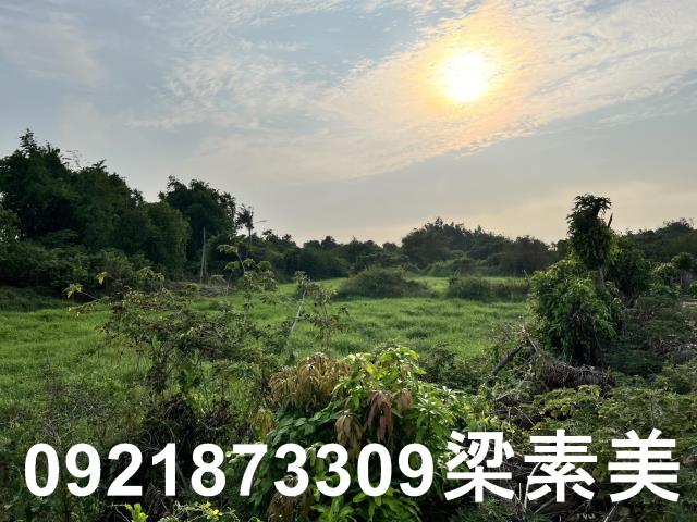柳營農地-14