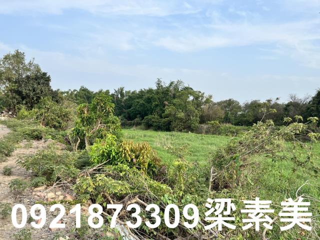 柳營農地-4