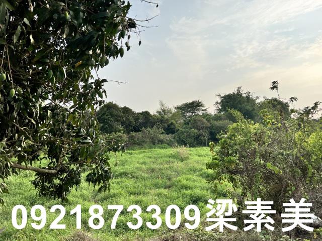 柳營農地-5