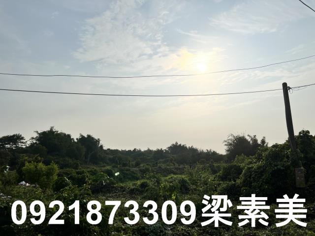 柳營農地-6