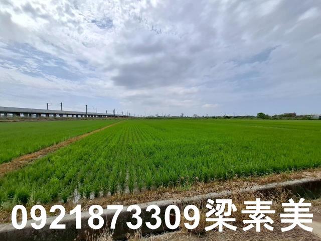 六甲農地-8