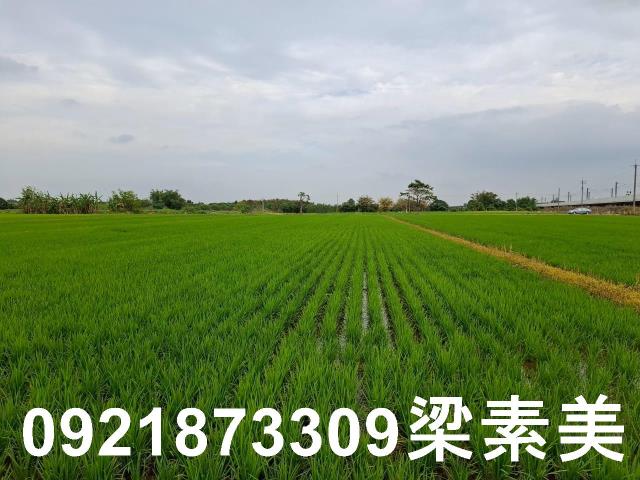 六甲農地-3