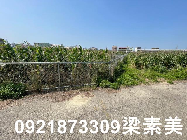 台南新營農地-9