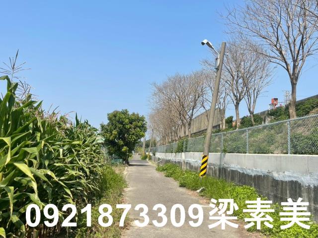 台南新營農地-7