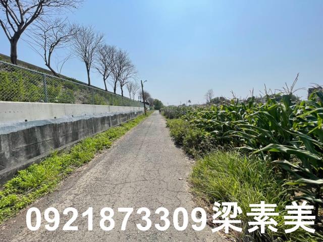 台南新營農地-8